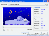 Miniriver Flash to Video Converter screenshot